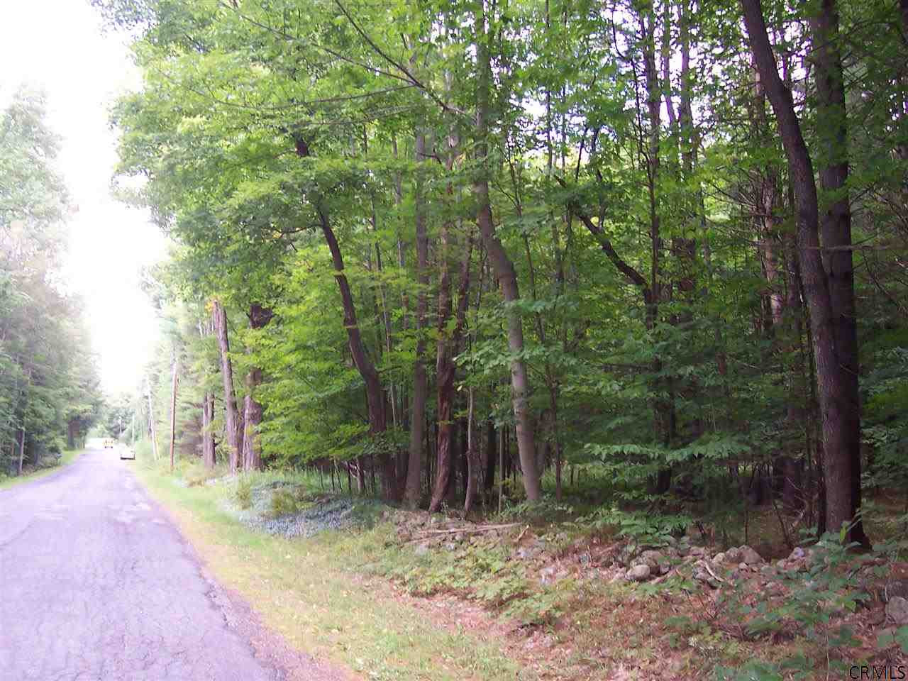 311 Miner Road Greenfield, NY 12859 - Photo 5 of 6 Photo 5