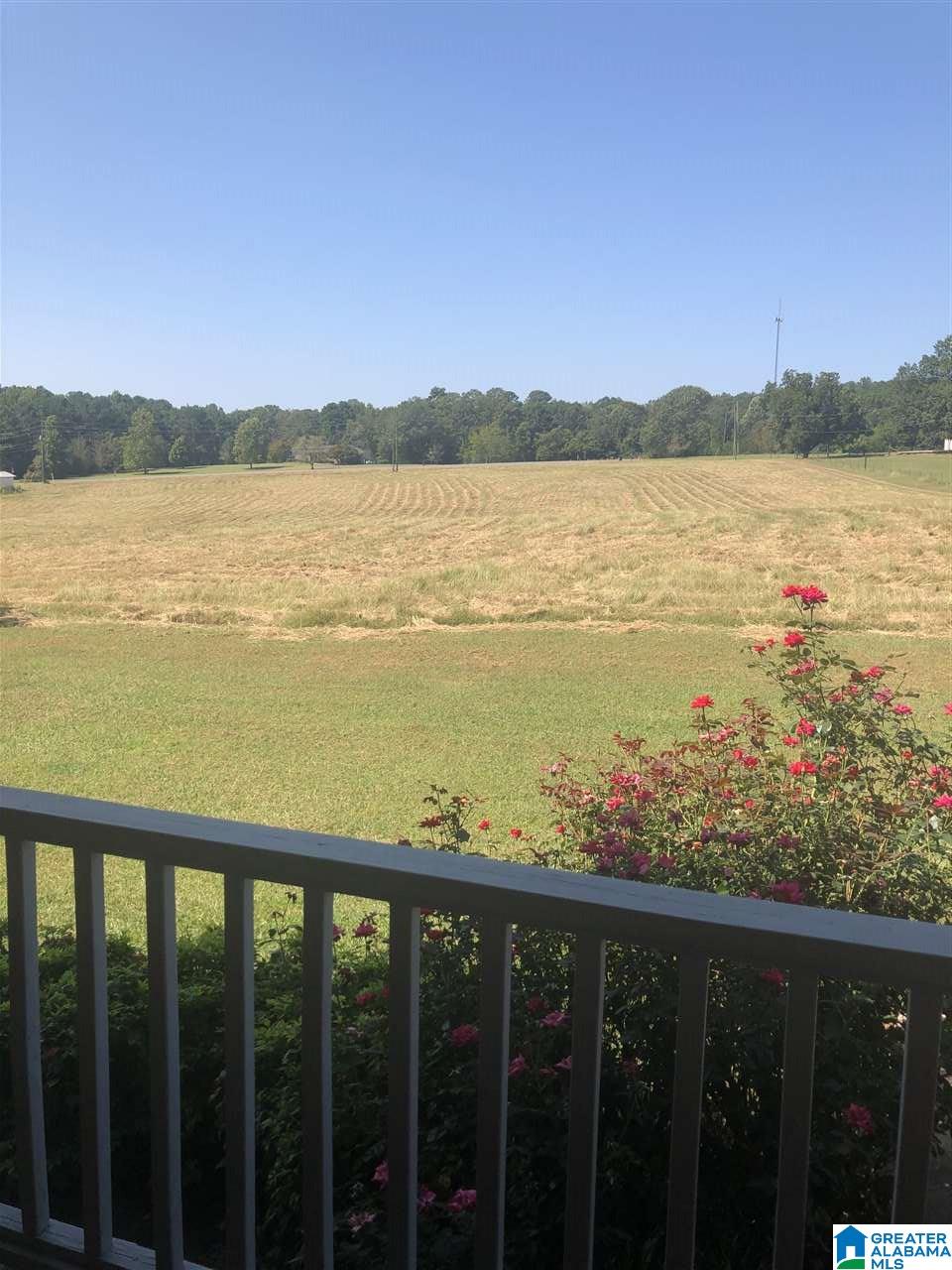1086 County Highway 7 Hayden, AL 35079 - Photo 6 of 21