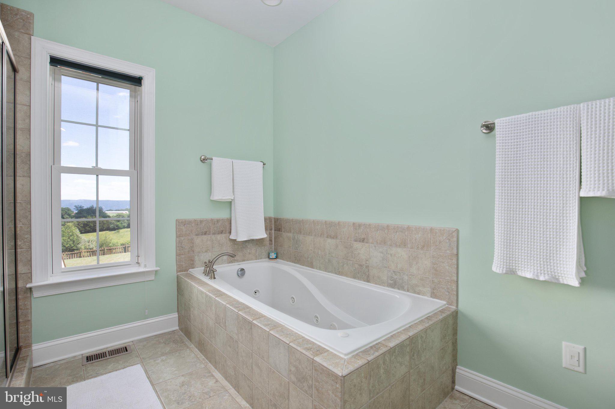 516 Zepp Road Maurertown, VA 22644 - Photo 25 of 63 Primary Bath