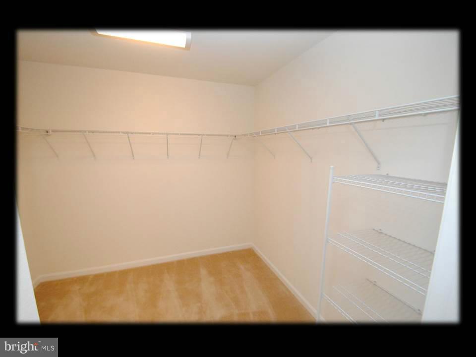 813 Wampler Road Baltimore, MD 21220 - Photo 23 of 30 a view of an empty walk in closet