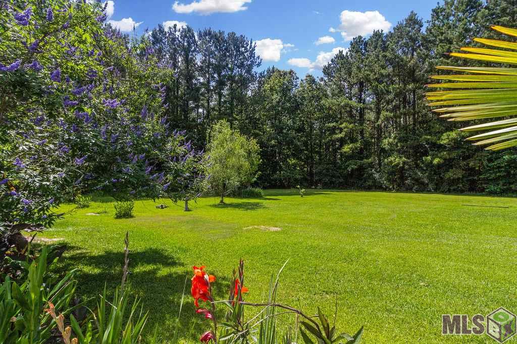 37061 Caraway Road Denham Springs, LA 70706 - Photo 3 of 24 Back Yard