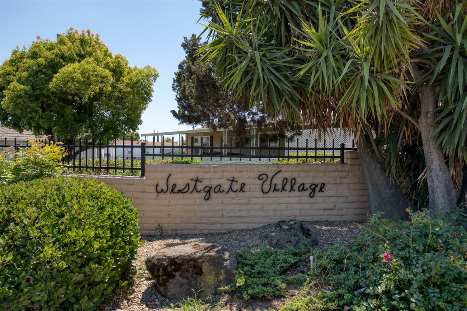 1200 South Carpenter Road, Unit 105 Modesto, CA 95351 - Photo 37 of 38 a view of a street with potted plants and large trees