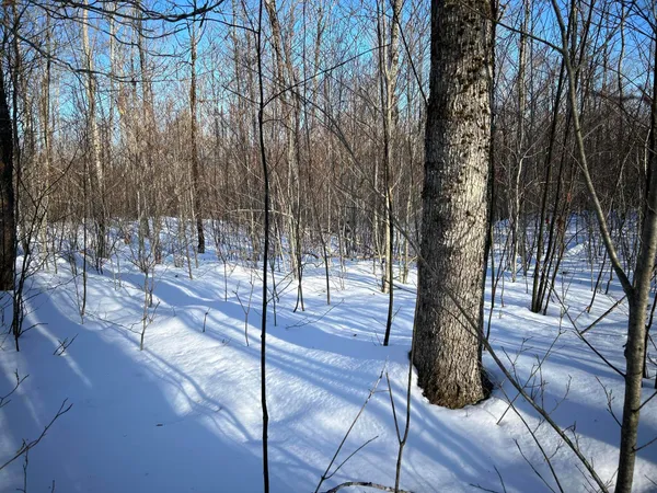 $185,000 | M7-l31 Nelson Ridge Road North, Washington, ME 04574