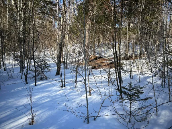 $185,000 | M7-l31 Nelson Ridge Road North, Washington, ME 04574