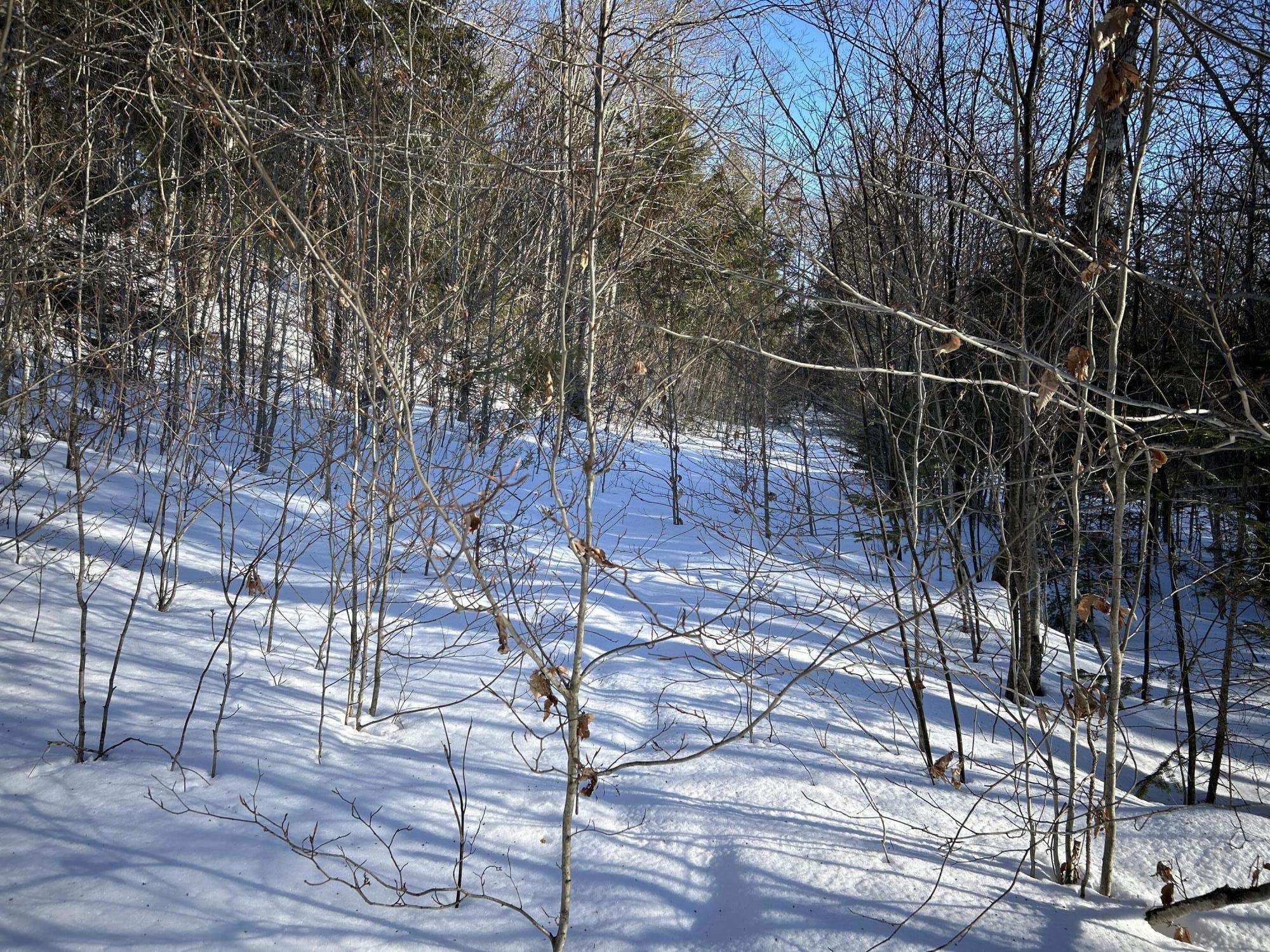 M7-l31 Nelson Ridge Road North Washington, ME 04574 - Photo 13 of 28 Copy of IMG_6794
