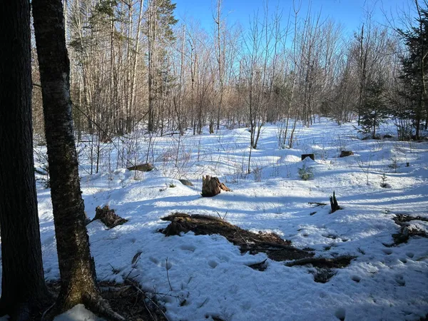 $185,000 | M7-l31 Nelson Ridge Road North, Washington, ME 04574