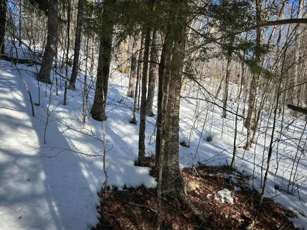$185,000 | M7-l31 Nelson Ridge Road North, Washington, ME 04574