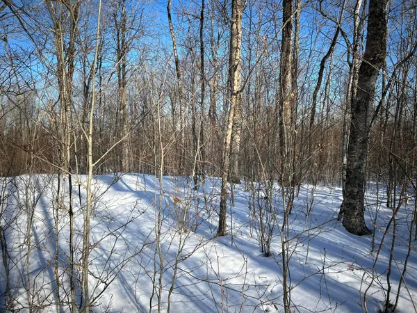 $185,000 | M7-l31 Nelson Ridge Road North, Washington, ME 04574