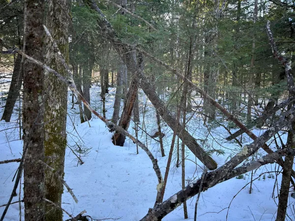 $185,000 | M7-l31 Nelson Ridge Road North, Washington, ME 04574