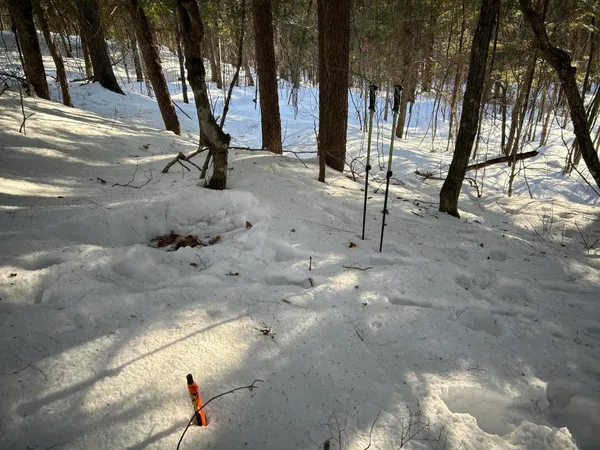 $185,000 | M7-l31 Nelson Ridge Road North, Washington, ME 04574