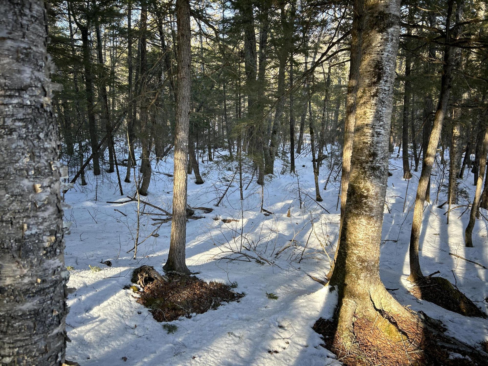 M7-l31 Nelson Ridge Road North Washington, ME 04574 - Photo 25 of 28 Copy of IMG_6782