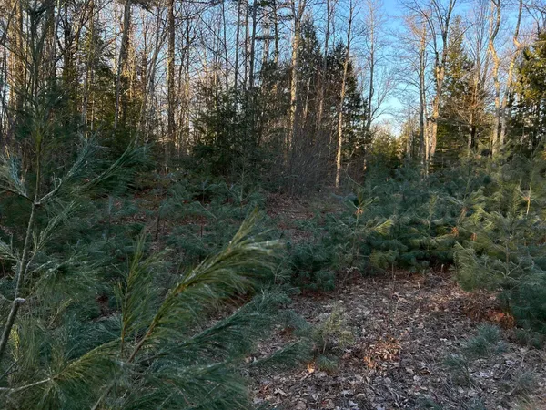 $185,000 | M7-l31 Nelson Ridge Road North, Washington, ME 04574