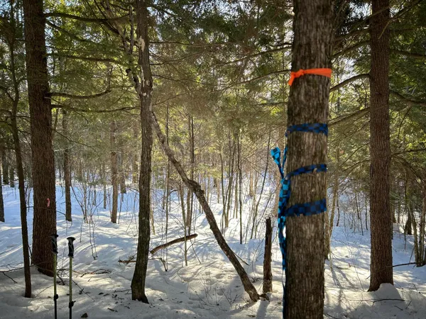 $185,000 | M7-l31 Nelson Ridge Road North, Washington, ME 04574
