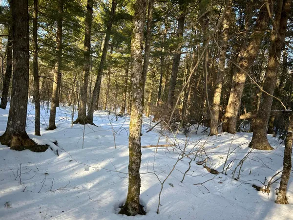 $185,000 | M7-l31 Nelson Ridge Road North, Washington, ME 04574