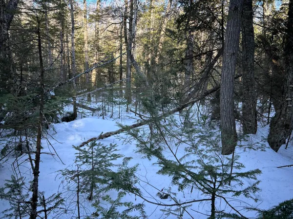 $185,000 | M7-l31 Nelson Ridge Road North, Washington, ME 04574