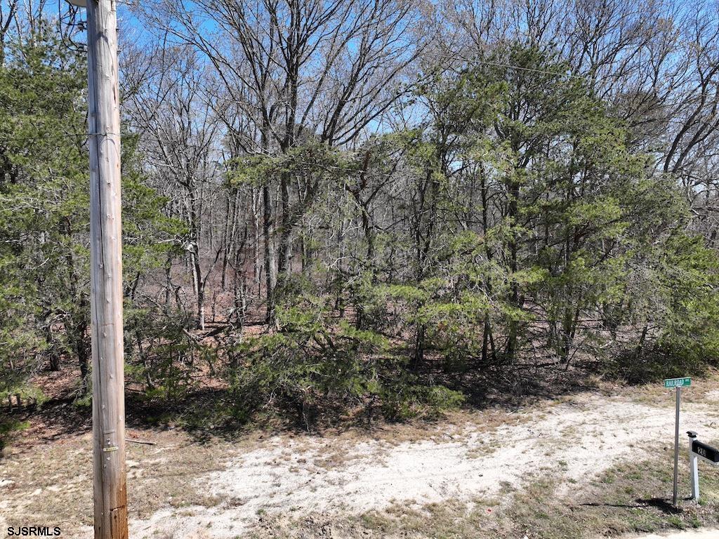 351 Shaws Mill Road Newport, NJ 08345 - Photo 81 of 84