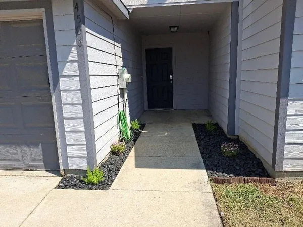 a view of a pathway with a potted plants