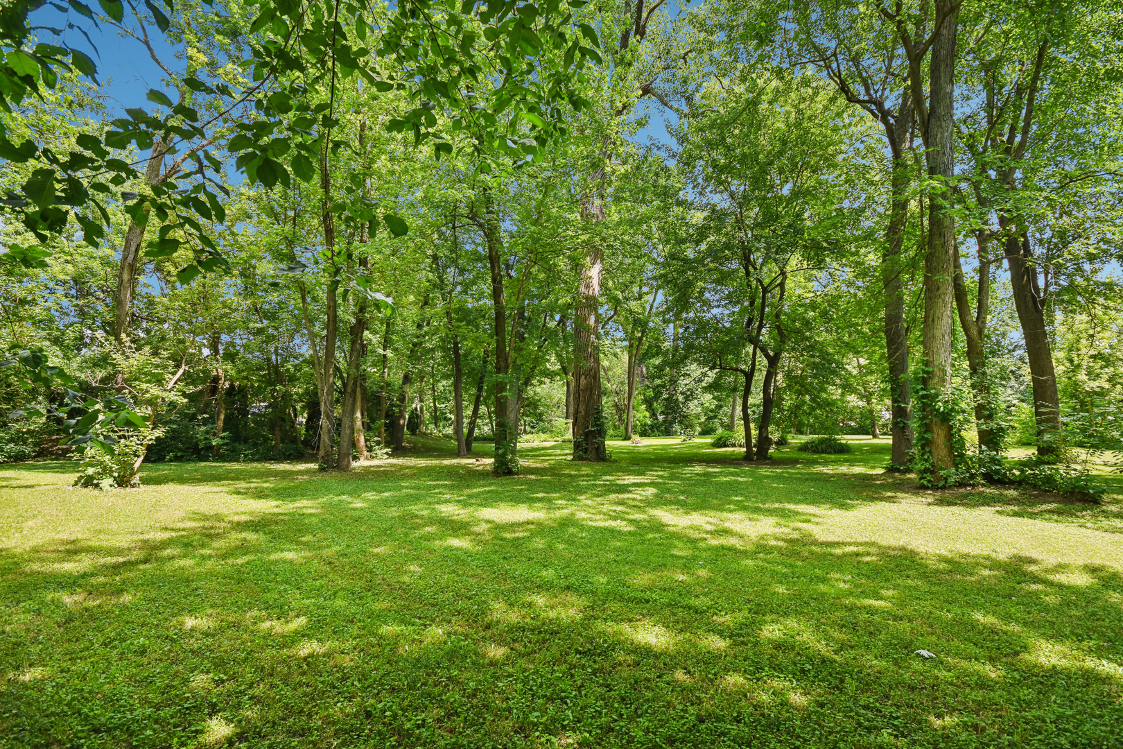 1020 Gladys Avenue Morris, IL 60450 - Photo 15 of 63