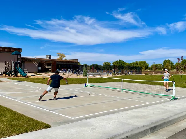 a view of a basket ball ground