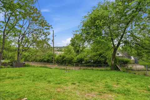a view of green field with trees in the background