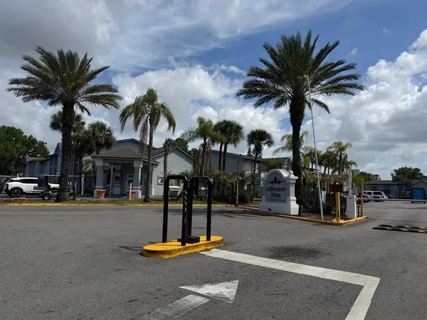 a view of a park with palm trees