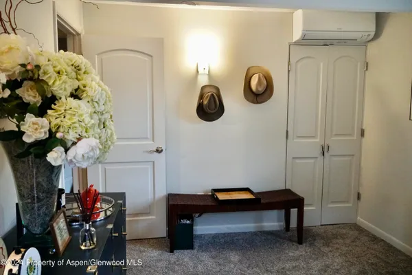 $14,000 | 630 East Cooper Avenue, Unit 20, Aspen, CO 81611