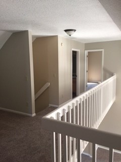 9127 Spring Forest Drive Fort Wayne, IN 46804 - Photo 21 of 25 Gallery Image 21