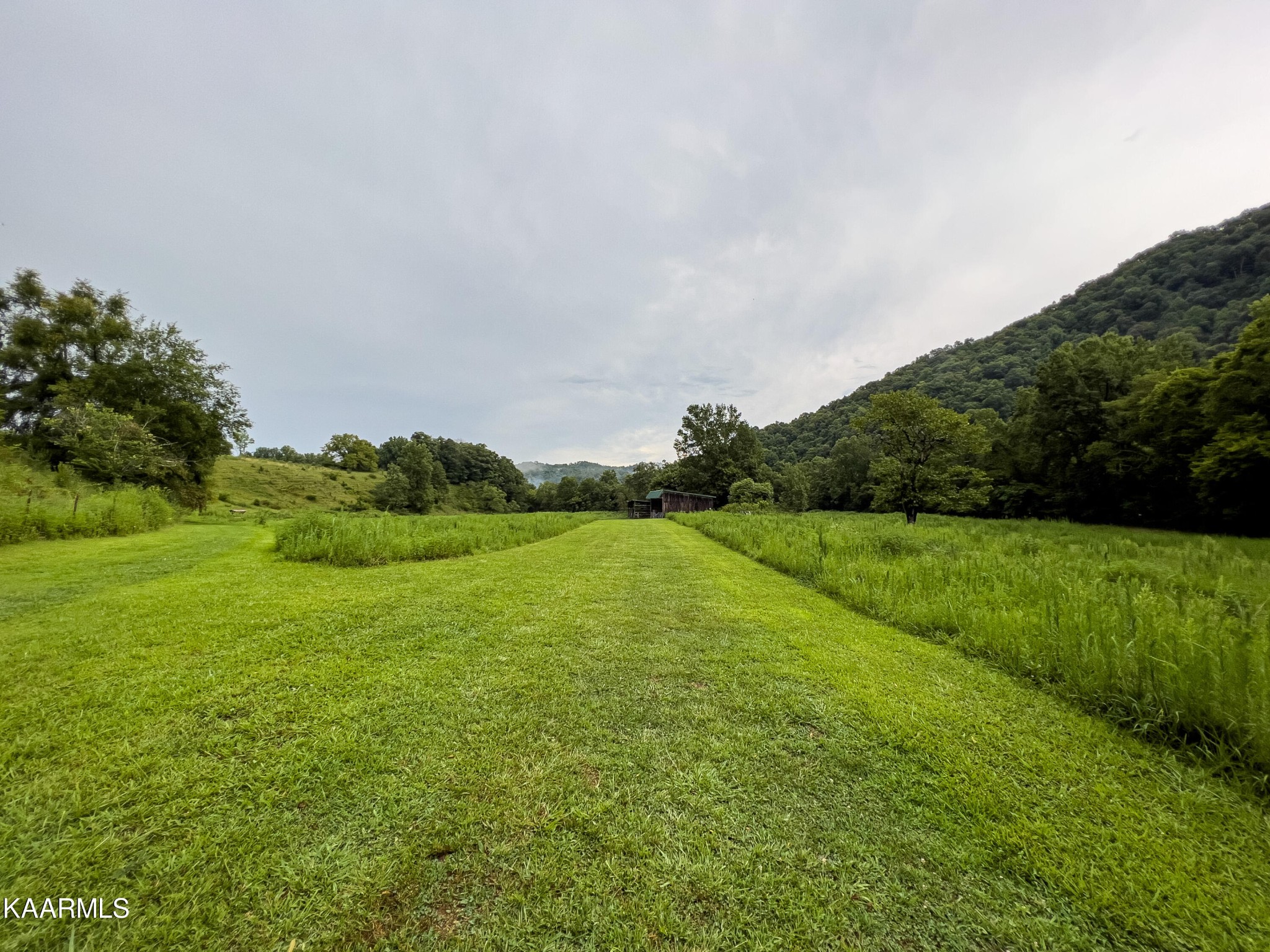 905 Blue Mill Road Del Rio, TN 37727 - Photo 23 of 40
