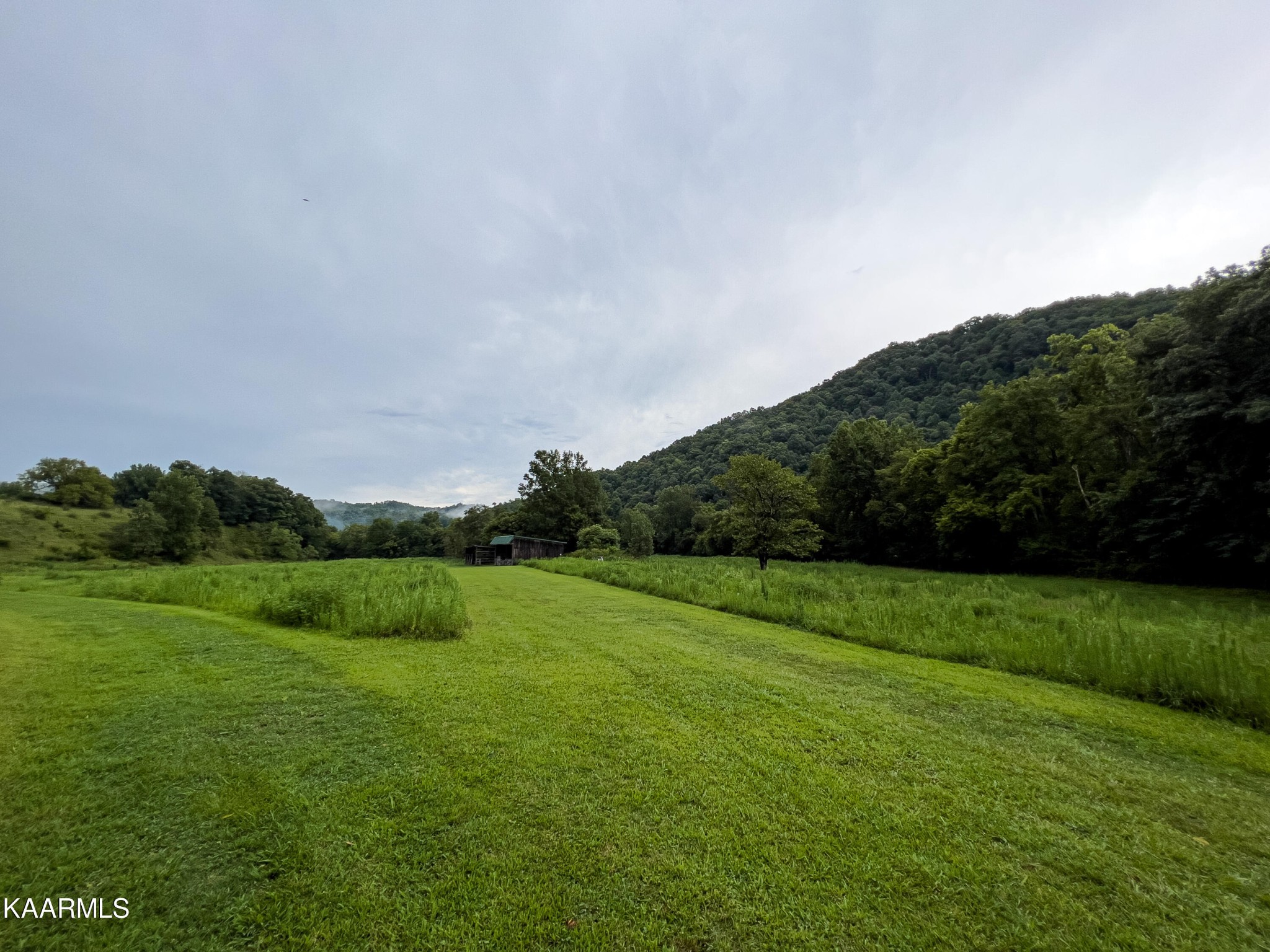 905 Blue Mill Road Del Rio, TN 37727 - Photo 24 of 40