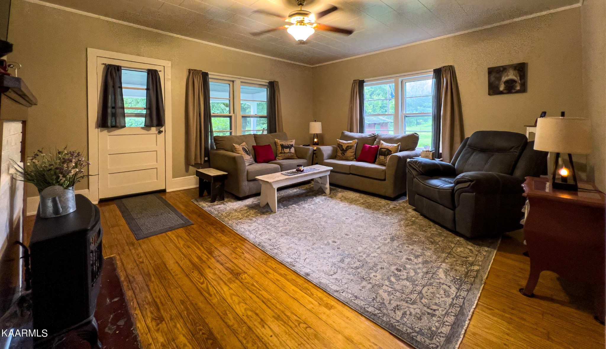 905 Blue Mill Road Del Rio, TN 37727 - Photo 6 of 40