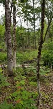 $68,500 | Lot 8 Winter Hill Lane, Monson, ME 04464