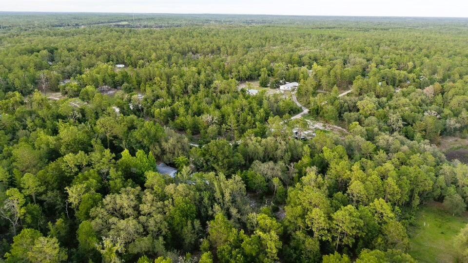 121 Susan Road Hawthorne, FL 32640 - Photo 10 of 20 10