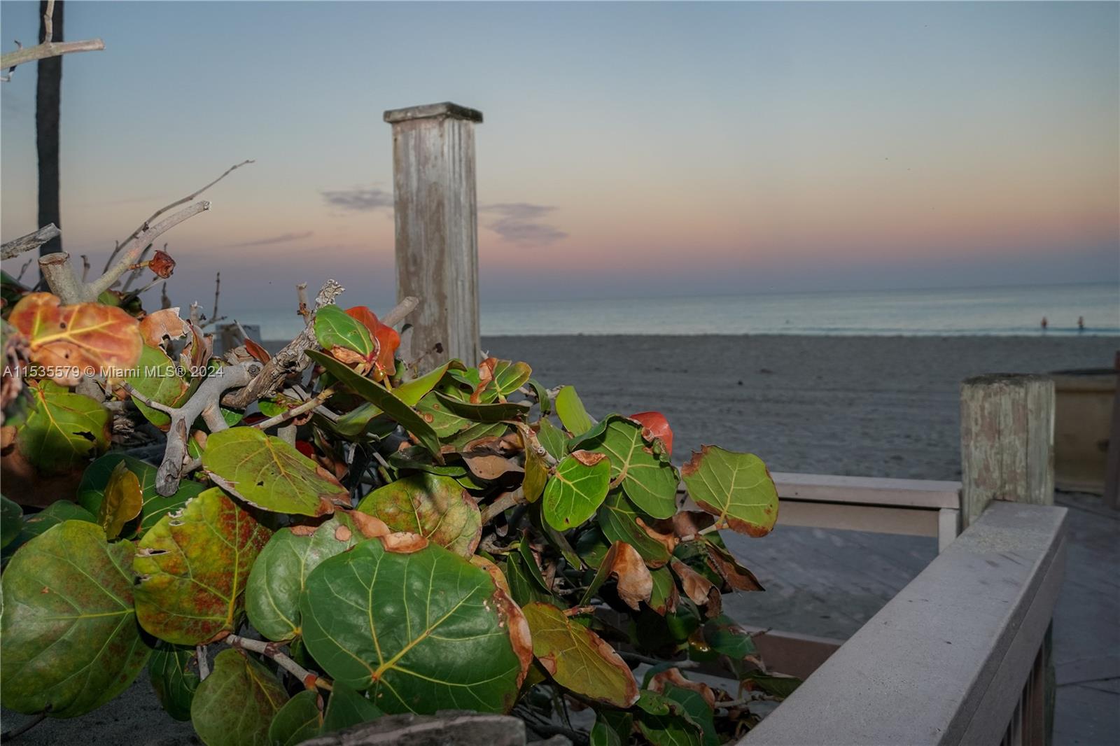 901 South Surf Road, Unit 206 Hollywood, FL 33019 - Photo 5 of 22 Gallery Image 5