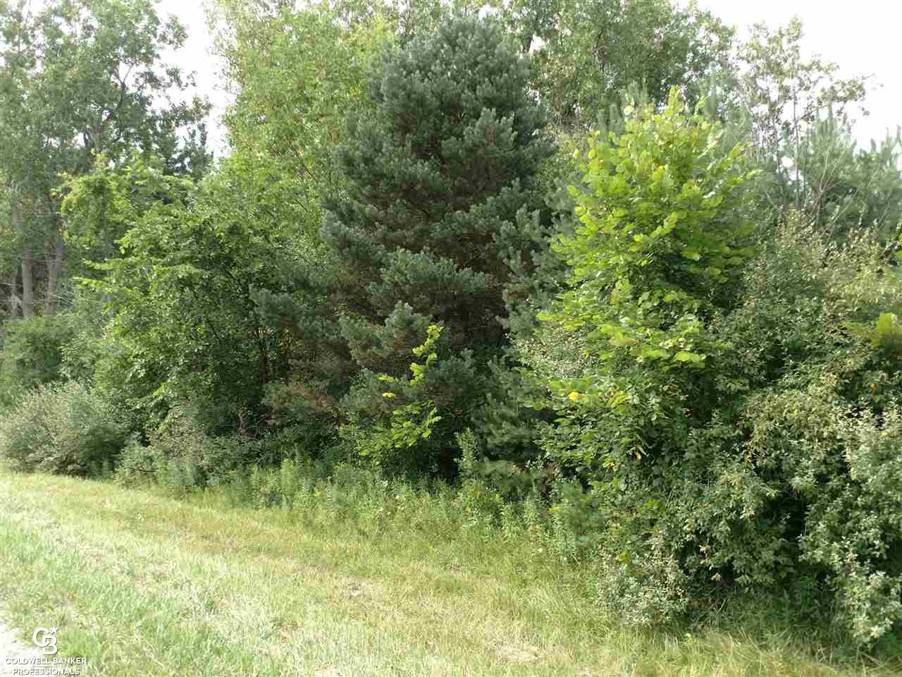 East Galbraith Line Road Melvin, MI 48454 - Photo 1 of 10