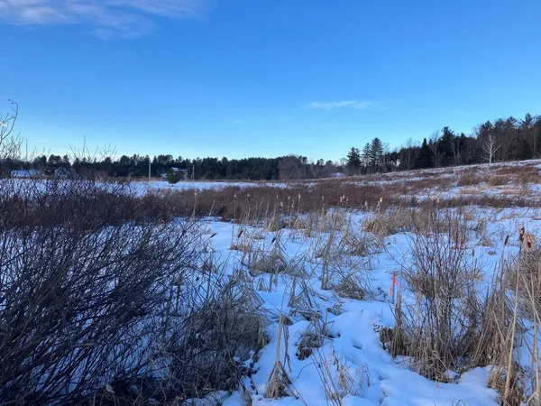 $95,000 | 0 L L Brown Drive, East Montpelier, VT 05651