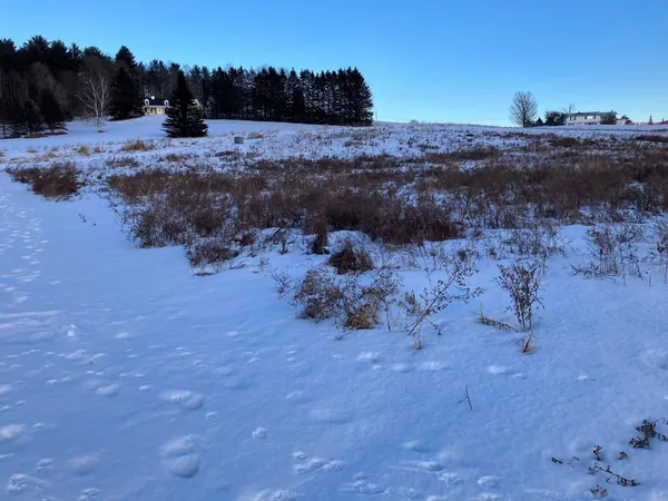 $95,000 | 0 L L Brown Drive, East Montpelier, VT 05651