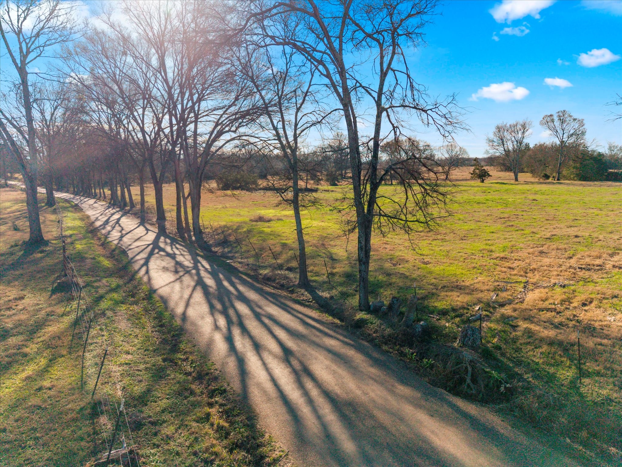 4315 County Road Omaha, TX 75571 - Photo 3 of 19