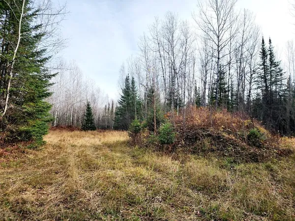 $584,041 | 60 County Road 60, Bovey, MN 55709