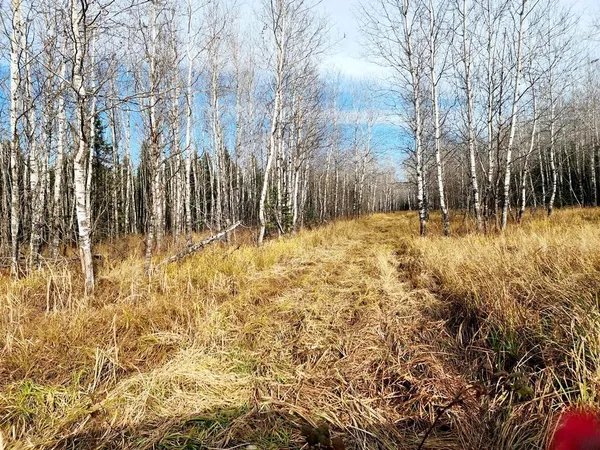 $584,041 | 60 County Road 60, Bovey, MN 55709