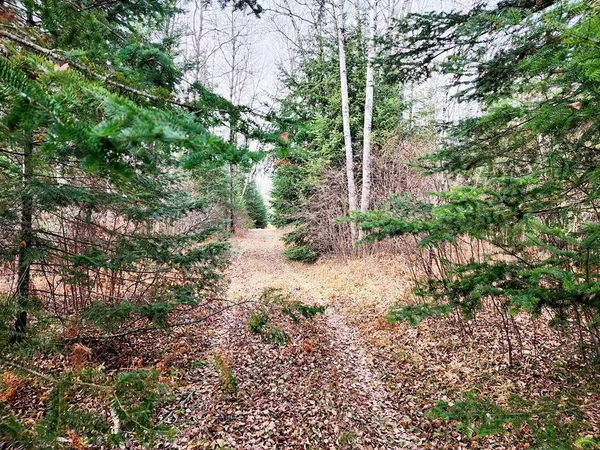 $584,041 | 60 County Road 60, Bovey, MN 55709