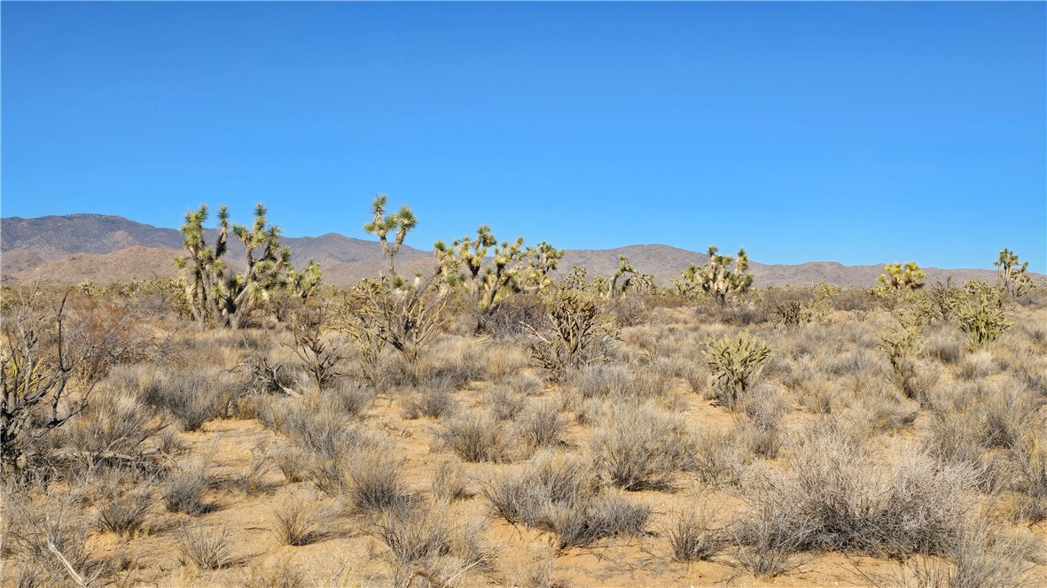 2358 South Cattle Crossing Road Yucca, AZ 86438 - Photo 11 of 26 View