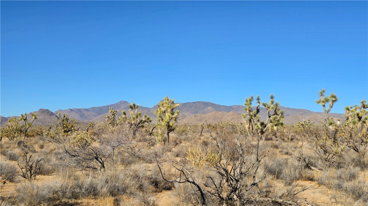 2358 South Cattle Crossing Road Yucca, AZ 86438 - Photo 13 of 26 View