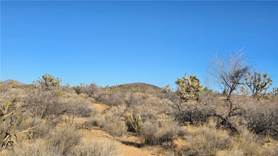 2358 South Cattle Crossing Road Yucca, AZ 86438 - Photo 14 of 26 Other