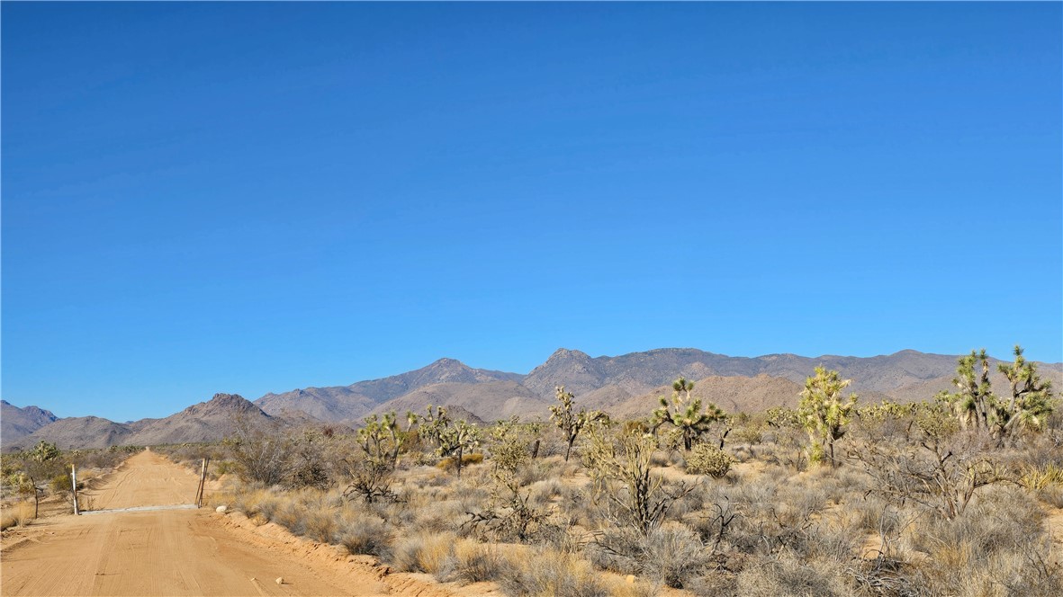 2358 South Cattle Crossing Road Yucca, AZ 86438 - Photo 15 of 26 View