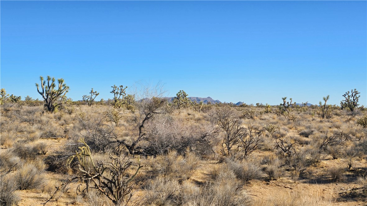 2358 South Cattle Crossing Road Yucca, AZ 86438 - Photo 17 of 26 Other