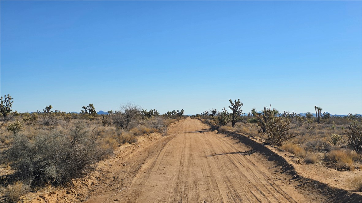 2358 South Cattle Crossing Road Yucca, AZ 86438 - Photo 18 of 26 Community