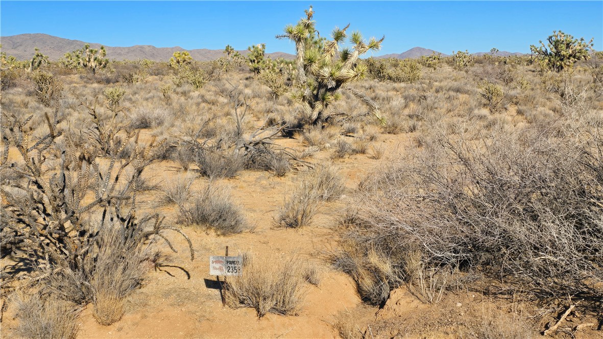 2358 South Cattle Crossing Road Yucca, AZ 86438 - Photo 19 of 26 View