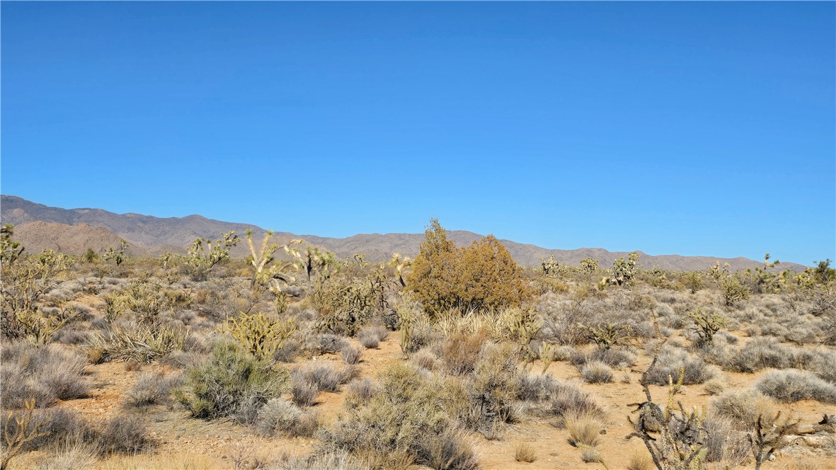 2358 South Cattle Crossing Road Yucca, AZ 86438 - Photo 20 of 26 View