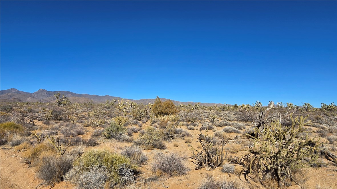 2358 South Cattle Crossing Road Yucca, AZ 86438 - Photo 21 of 26 View