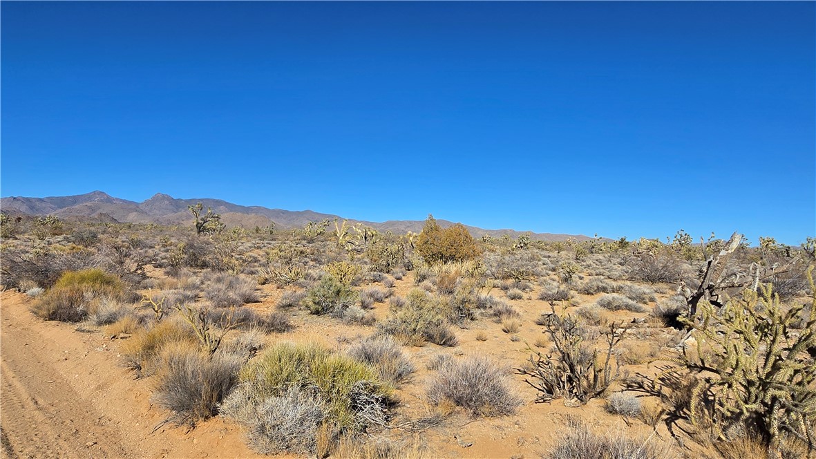 2358 South Cattle Crossing Road Yucca, AZ 86438 - Photo 22 of 26 View